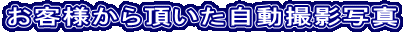 ���q�l���璸���������B�e�ʐ^ 