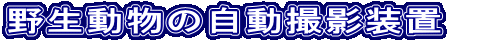 �쐶�����̎����B�e���u�@ 